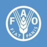 National Project Coordinator