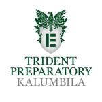 Primary Teacher