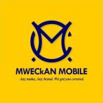 Sales Consultant Personnel