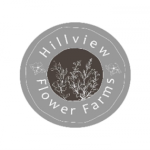 Team Lead – Sales and Marketing