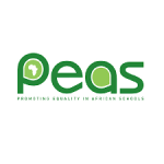 Promoting Equality in African Schools