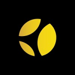 Brewing Process Control Artisan