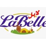 Adjoint Responsable Laboratoire