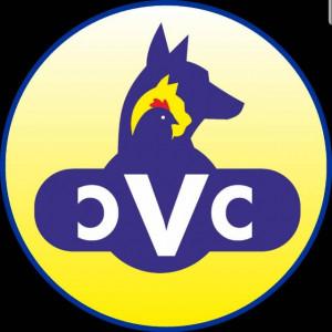 Chelston Veterinary Clinic