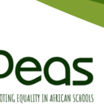 Promoting Equality in African School Zambia Limited