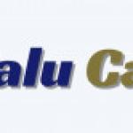 Collections Officer