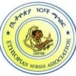 Training Facilitator