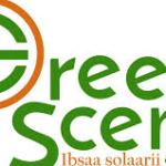Green Scene Energy PLC
