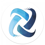 Software Developer
