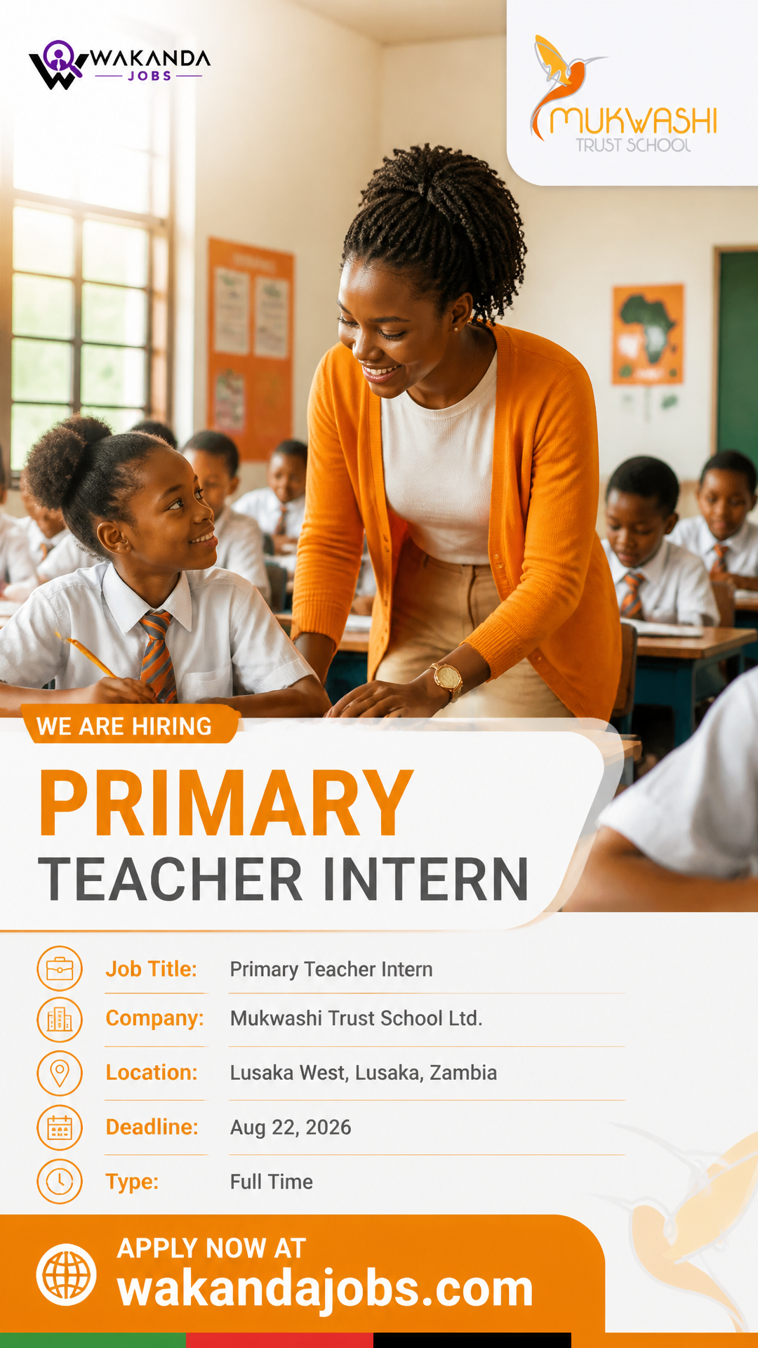 Primary Teacher Intern